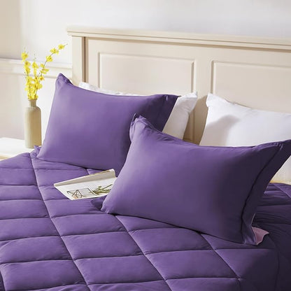 NexHome Queen Comforter Set Purple&Light Purple,3 Pieces Lightweight Comforters Queen Size Reversible Bedding Comforters Sets,Down Alternative Comforter Bed Set Quilt Blanket