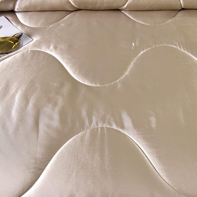 NTBED Silky Satin Comforter Set Queen Champagne, Soft Lightweight Microfiber Luxury Sexy Quilted Bedding Sets with 2 Matching Pillow Covers for Summer Spring Autumn