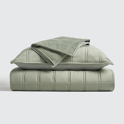 EVERGRACE 3 Pieces Luxurious Velvet Quilt King Size, Ultra Soft Bedspread Coverlet Set, Double Box Stitch Lightweight Velvet Comforter for All Season with 2 Shams, Sage Green, 108"x96"