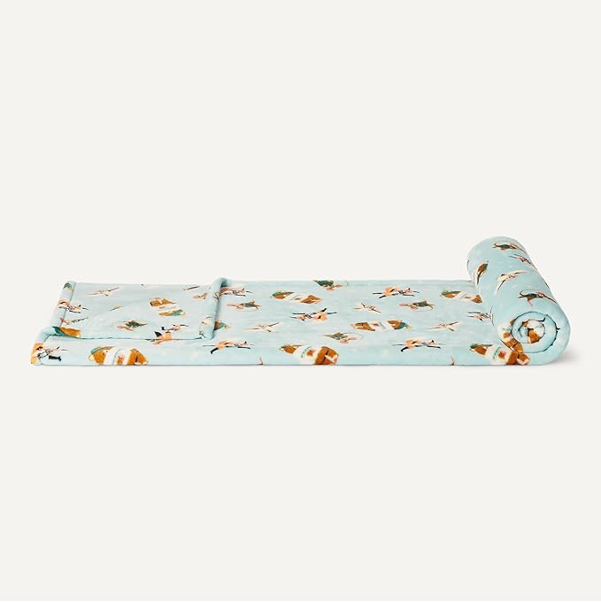 Basics Kids Fleece Blanket, Ultra-Soft Lightweight Throw for Children, Forest Friends, 50 x 60 Inches