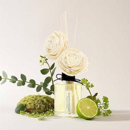 Aronica Twin Sola Diffuser 160ml_Eucalyptus and Bergamot Essential Oil Flower Diffuser, Non Toxic Reed Diffusers, Beach Themed Home Room Decor, Natural Gift for Men, Beach Scent