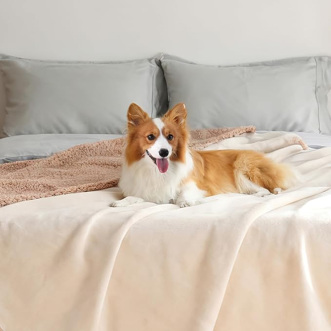 Makigued Waterproof Dog Blanket for Couch & Bed, Reversible Sherpa Fleece Pet Throw with Quiet TPU Barrier, Machine Washable Furniture Protector for Large Dogs & Cats, Twin Size 60x80 Inch, Cream