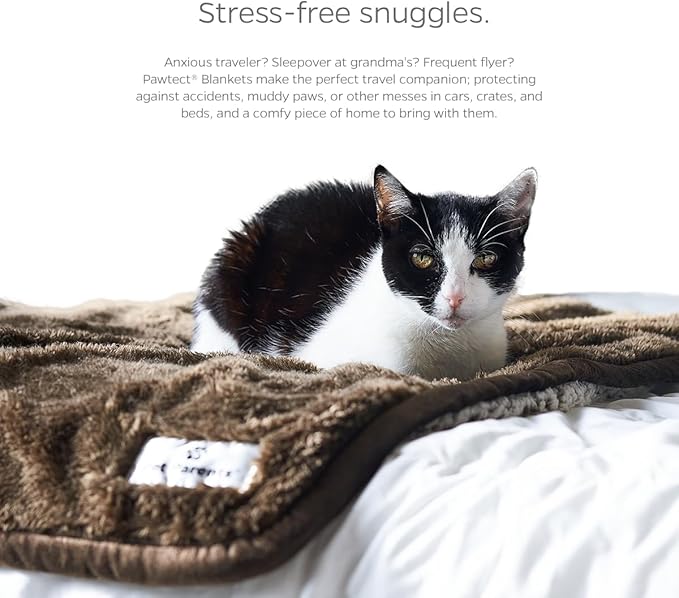 Pet Parents Pawtect Premium Waterproof Cat & Dog Blanket with WickQuick & Sherpup Technology, Puppy & Cat Blanket, Slate 50x60
