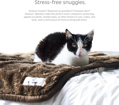 Pet Parents Pawtect Premium Waterproof Cat & Dog Blanket with WickQuick & Sherpup Technology, Puppy & Cat Blanket, Slate 50x60
