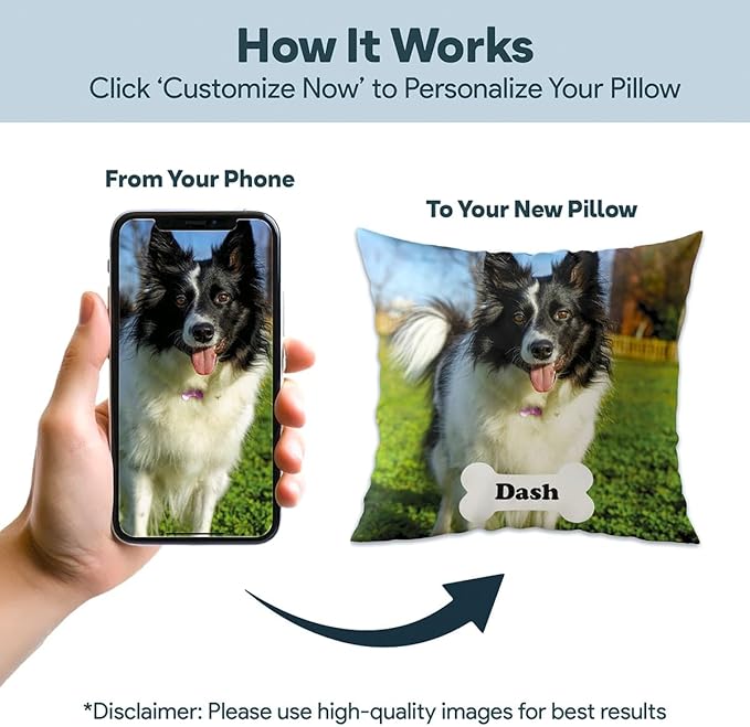 Fabric Textile Products Custom Pet Pillow - USA Made - Custom Pillow with Cat and Dog Photos - Bone with Name - Throw Pillow - Personalized Gift - Pet Gifts (20"x20")