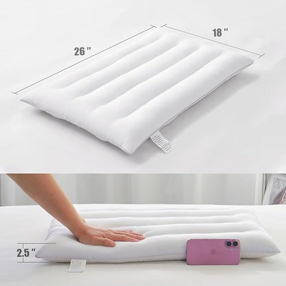 Thin Pillow for Stomach and Back Sleeper Low Pillow Flat Bed Pillow Flat Design Pillows Ultra Slim 2.5 Inches Deeper Sleep (Pack of 1)