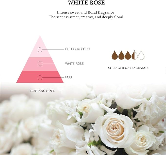 Aronica Twin Sola Diffuser - White Rose Fragrance, 160ml / 5.41 Floz, Colorful Bathroom Decor Airfreshener, Rose Reed Diffuser, Shelving Décor