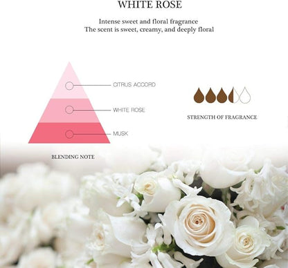 Aronica Twin Sola Diffuser - White Rose Fragrance, 160ml / 5.41 Floz, Colorful Bathroom Decor Airfreshener, Rose Reed Diffuser, Shelving Décor