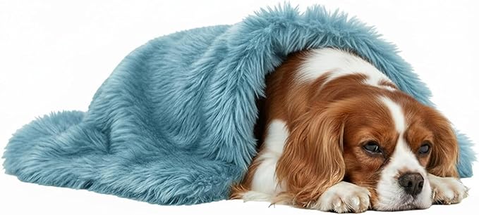 Pets Bed Blanket Dogs Reversible Soft Dog Throw Blankets Cats Mat Sleeper Fuzzy Pet Couch Covers Washable Cat Puppy Cover for Beds Sofa Travel Double Sided Furniture Protection (Colorful Blue,M)