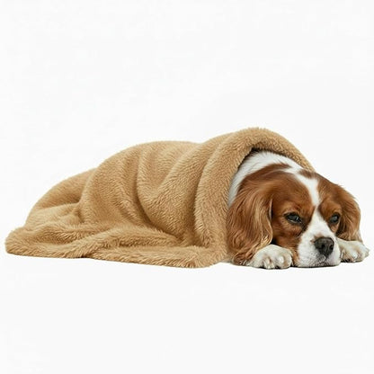 Pets Bed Blanket Dogs Reversible Soft Dog Throw Blankets Cats Mat Sleeper Fuzzy Pet Couch Covers Washable Cat Puppy Cover for Beds Car Sofa Travel Double Sided Furniture Protection (Champagne,M)