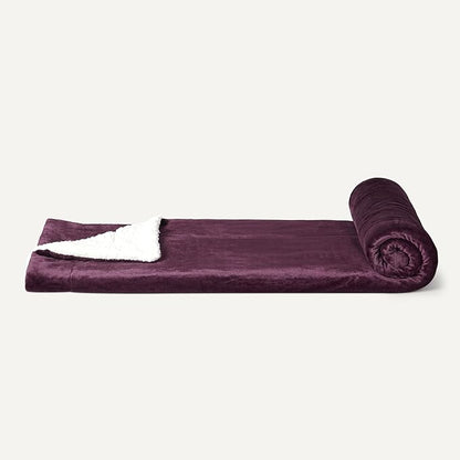 Amazon Basics Reversible Sherpa Throw Blanket, Velvety Flannel, Ultra Soft, Plum, 50"x60"