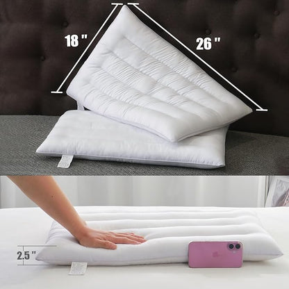 2 Pack Thin Pillow for Stomach and Back Sleeper Low Pillow Flat Bed Pillow Flat Design Pillows Ultra Slim 2.5 Inches Deeper Sleep (Pack of 2)