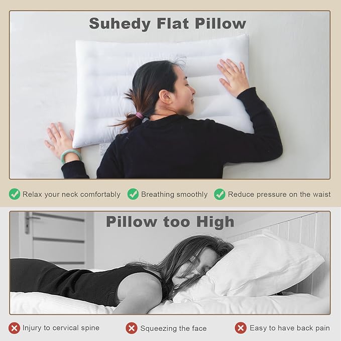2 Pack Thin Pillow for Stomach and Back Sleeper Low Pillow Flat Bed Pillow Flat Design Pillows Ultra Slim 2.5 Inches Deeper Sleep (Pack of 2)