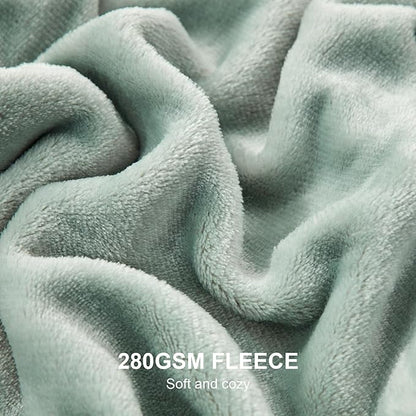 Hansleep Fleece Celadon Queen Blanket, Super Soft Flannel Fuzzy Plush Cozy Blanket for All Seasons, Celadon, Queen 90x90 Inches