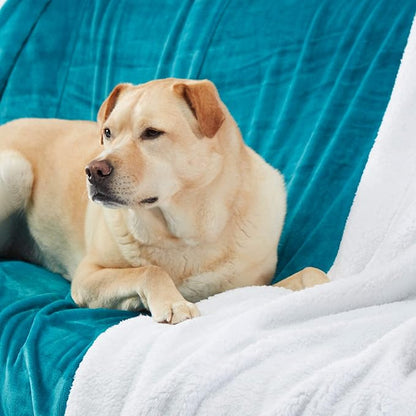 Genteele Sherpa Throw Blanket Super Soft Reversible Ultra Luxurious Plush Blanket, 60 x 80 inches, Teal/White