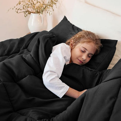 Exclusivo Mezcla Lightweight Reversible Full Queen Size Comforter Set, Down Alternative Comforter with 2 Pillow Sham, Full Queen Size Bedding Set for All Seasons, Black