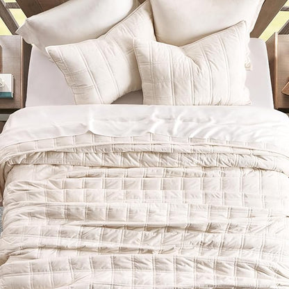 EVERGRACE 3 Pieces Luxurious Velvet Quilt King Size, Ultra Soft Bedspread Coverlet Set, Double Box Stitch Lightweight Velvet Comforter for All Season with 2 Shams, Cream White, 108"x96"