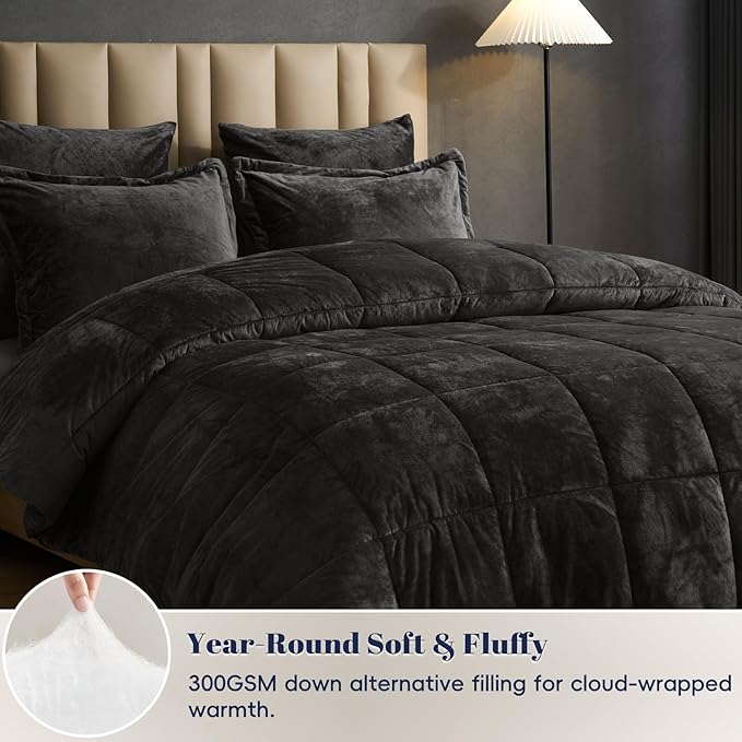 PHF Double-Sided Velvet Comforter Set Queen Size, 5 Piece Soft Luxury Winter Warm Bedding Sets, Modern Bed in A Bag Including 1 Cozy Comforter, 2 Pillow Shams, 2 Euro Shams for Home Decor, Black