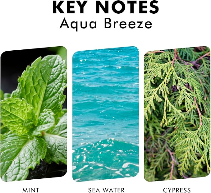 Reed Diffuser Set, Aqua Breeze Scented Oil Diffuser with Sticks, Long-Lasting Home Fragrance Reed Diffusers for Bathroom Office Shelf, Room Fresheners 3.7 Oz