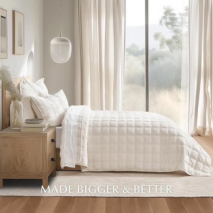 EVERGRACE 3 Pieces Luxurious Velvet Quilt Queen Size, Ultra Soft Bedspread Coverlet Set, Double Box Stitch Lightweight Velvet Comforter for All Season with 2 Shams, Cream White, 92"x96"