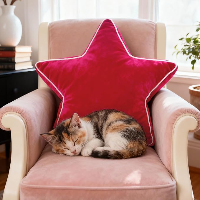 Star Pillow - Decorative Throw Pillows Floor Cushion Accent Pillow for Sofa Bed Couch Bedroom Red