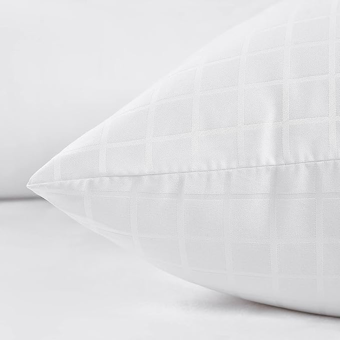 EIUE 2 Pack Queen Size Bed Pillows for Sleeping,Super Soft Down Alternative Microfiber Filled Pillows,20 x 30 Inches,White