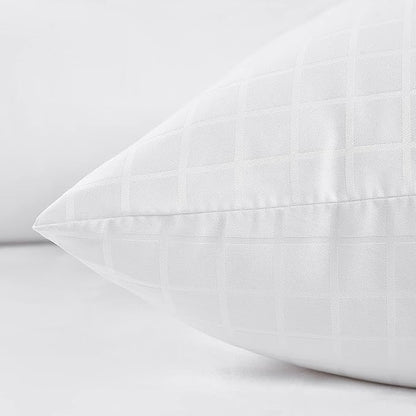 EIUE 2 Pack Queen Size Bed Pillows for Sleeping,Super Soft Down Alternative Microfiber Filled Pillows,20 x 30 Inches,White