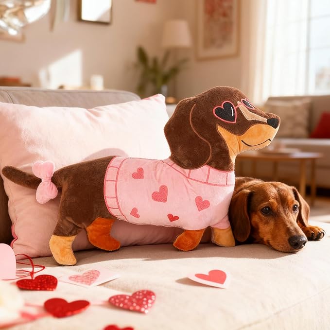 Valentines Day Dachshund Pillow Weiner Dog Valentine's Day Decorations Dachshund Throw Pillows Gifts for Adults Women Friends