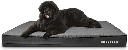The Dog’s Bed Orthopedic Memory Foam Dog Bed Mattress, Plush Fabric, Grey Plush, XXXL, 6-Inch