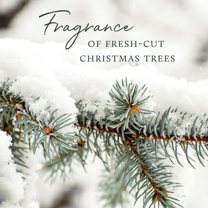 Thymes Frasier Fir Votive Candle Set of 3 - Scented Candles for Home - Luxury Home Fragrance Gifts for Women & Men - Home Decor (Pack of 3-2 Oz)