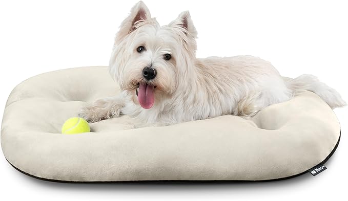 Dog Bed for Small Dogs & Cats 23”x17”, Non-Slip Washable Faux Silver Fox Fur Crate Pad, Durable Oval Pet Mat, Beige