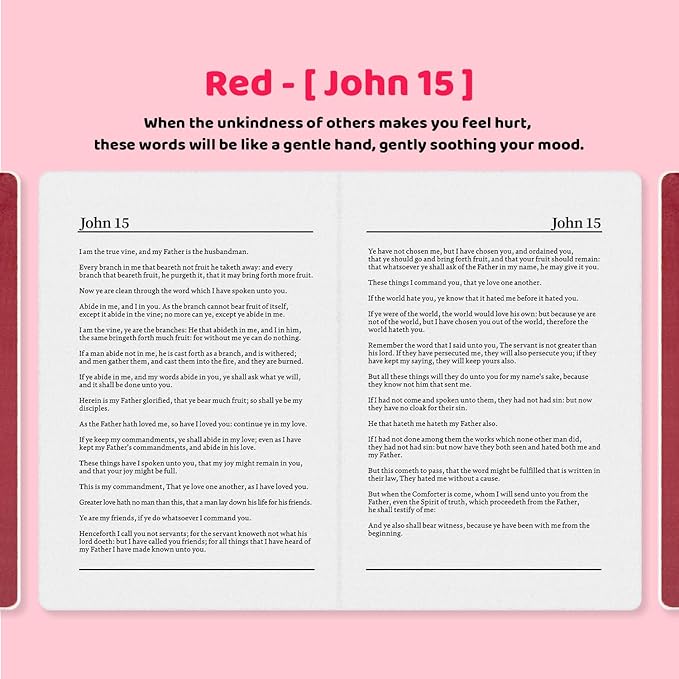 Holy Bible Pillow, Bible Pillow Book Plush That Opens, Home Aesthetic Room Decorative, Soft Stuffed Pillows, Christmas Cartoon Throw Pillows (Red)