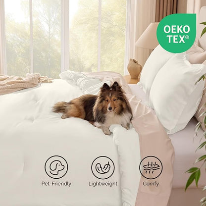 Andency Ivory Queen Size Comforter Set, 3 Pieces Cream Boho Solid Bedding Sets, Modern Reversible Soft Lightweight All Season Bed Set for Men Women (90x90Inch Comforter & 2 Pillowcases)