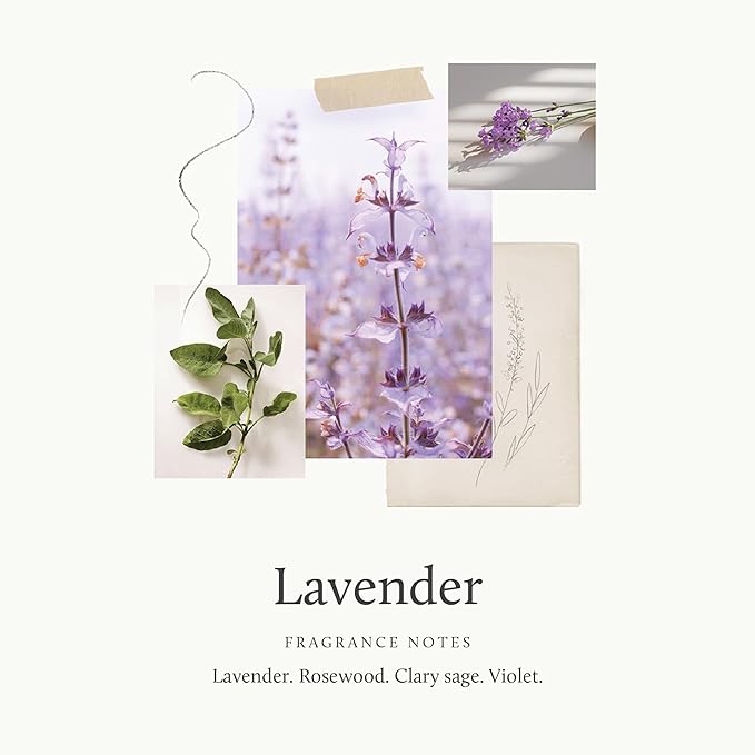 Thymes Reed Diffuser Oil - 7.75 Fl Oz - Lavender