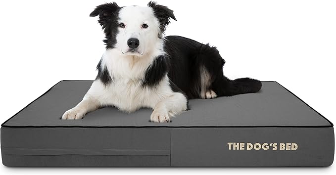 The Dog’s Bed Orthopedic Memory Foam Dog Bed Mattress, Oxford Fabric, Grey with Black Trim, L, 6-Inch