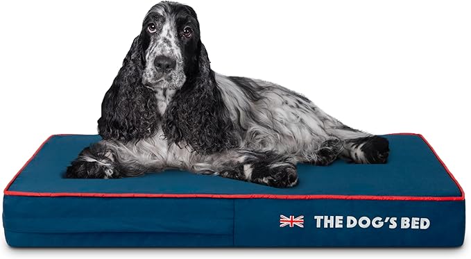 The Dog’s Bed Orthopedic Memory Foam Dog Bed Mattress, Oxford Fabric, Blue with Red Trim, M, 4-Inch