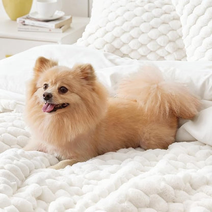 BEDELITE Fluffy Queen Comforter Set - Cream White Fleece Soft Comforter for Queen Size Bed, Luxury Warm Bedding Set for Winter, Fuzzy Bed Set 3 Pieces (1 Comforter, 2 Pillowcases)