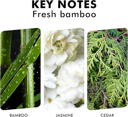 Reed Diffuser, Fresh Bamboo Scented Diffuser with Sticks, Home Fragrance Aromatherapy Oil Diffuser for Bathroom Office Decor