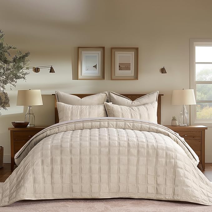 EVERGRACE 3 Pieces Luxurious Velvet Quilt Queen Size, Ultra Soft Bedspread Coverlet Set, Double Box Stitch Lightweight Velvet Comforter for All Season with 2 Shams, Beige, 92"x96"
