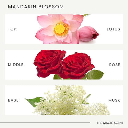 The Magic Scent Mandarin Blossom Diffuser Oil - Hotel & Home Luxury Scents Inspired by The Maldives - Diffuser Oil Scents for Home Designed for Use in All Diffusers - 4 fl oz, 120 mL