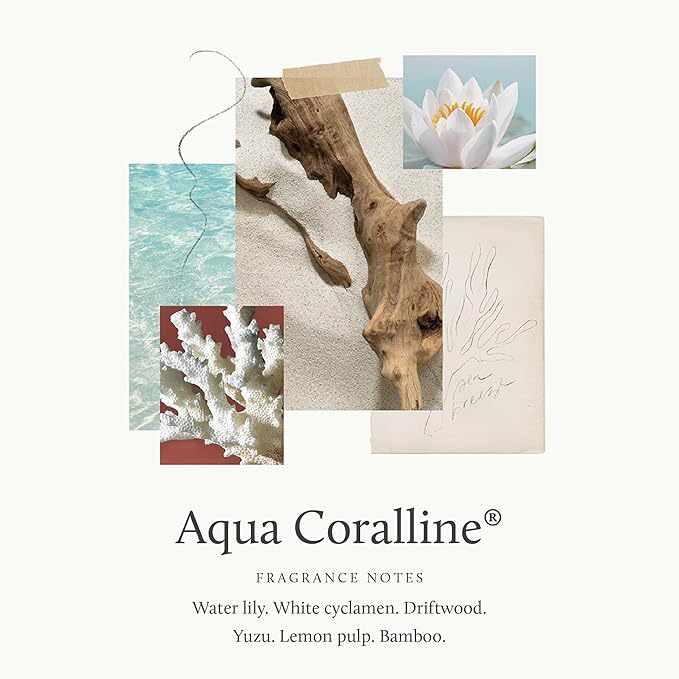 Thymes Petite Reed Diffuser Set – Includes Rattan Wood Sticks, Fragrance Oil, & Glass Bottle – Home Fragrance Oil Diffuser – Luxury Home Decor – Apartment Essentials (Aqua Coralline, 4 fl oz)