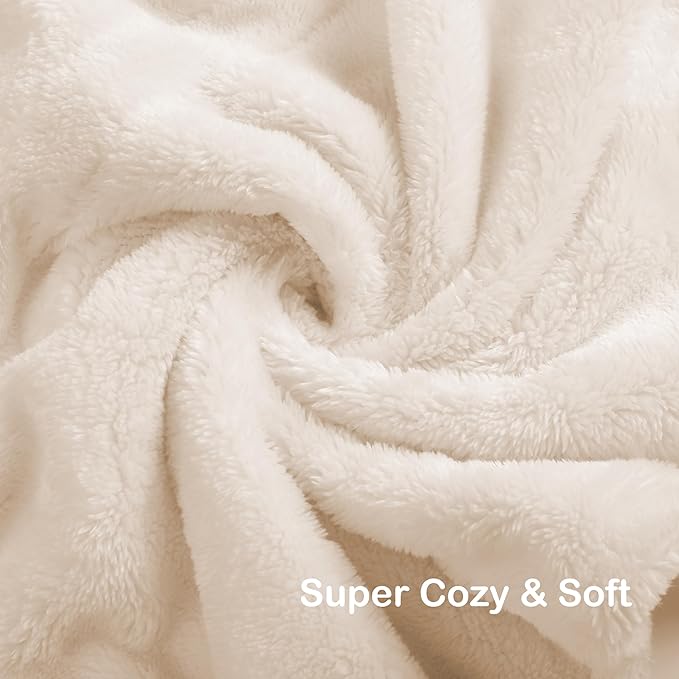 Electric Heated Blanket Queen Size 84"x90", Soft Plush Microplush for Bed, Dual Controllers & Dual Heating Zones, 10 Hours Auto Off & 4 Heating Levels, Machine Washable, Gifts for Family-White