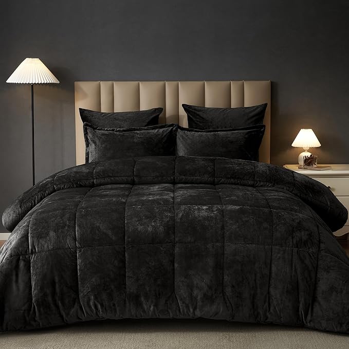 PHF Double-Sided Velvet Comforter Set Queen Size, 5 Piece Soft Luxury Winter Warm Bedding Sets, Modern Bed in A Bag Including 1 Cozy Comforter, 2 Pillow Shams, 2 Euro Shams for Home Decor, Black