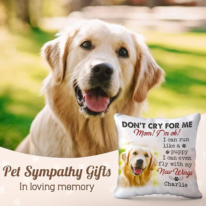 Pawfect House Personalized Dog Pillow (Insert Included) I Can Run Like a Puppy, Dog Memorial Gifts for Loss of Dog, Christmas Sympathy Gift for Pet Lovers, Pet Loss Gifts, Dog Remembrance Gift