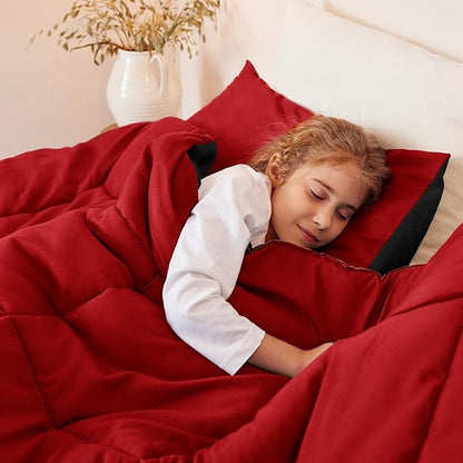 Exclusivo Mezcla Lightweight Reversible Queen Size Comforter Set, Down Alternative Comforter with 2 Pillow Sham, Queen Size Bedding Set for All Seasons, Red/Black