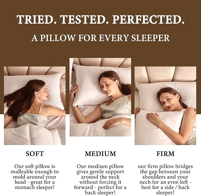 BHZ Goose Down Feather Pillows Queen Size Set of 2, Hotel Collection Bed Pillows for Sleeping Medium Firm Soft Support Pillow for Side and Back Sleepers