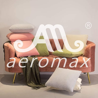AM AEROMAX 18 ×18 Pillow Insert (Pack of 2) Memory Foam Throw Pillow Insert Sham Square for Decorative Cushion Bed Couch Sofa Without Deform After Longtime Use(Black)