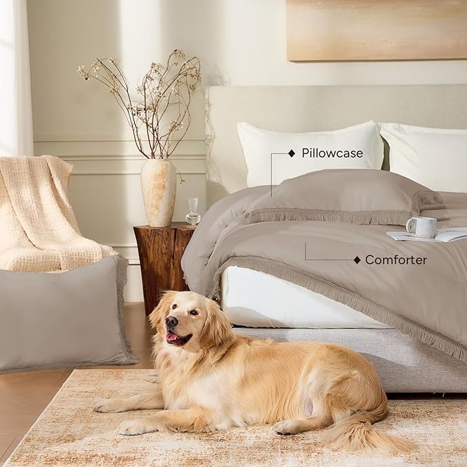 Andency Queen Comforter Set Khaki, 3 Pieces Boho Fall Tassel Lightweight Bedding Comforter Sets, All Season Soft Bed Set (90x90In Comforter & 2 Pillowcases)