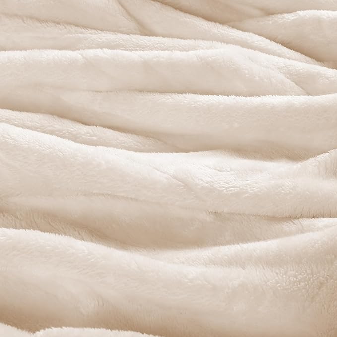Electric Heated Blanket Queen Size 84"x90", Soft Plush Microplush for Bed, Dual Controllers & Dual Heating Zones, 10 Hours Auto Off & 4 Heating Levels, Machine Washable, Gifts for Family-White