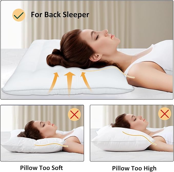 SWTMERRY Flat Pillows 2 Pack for Sleeping,Ultra Thin Bed Pillows Standard Size for Stomach and Side Sleeper 7D High Support 2.5 inch Height Slim Bed Pillow